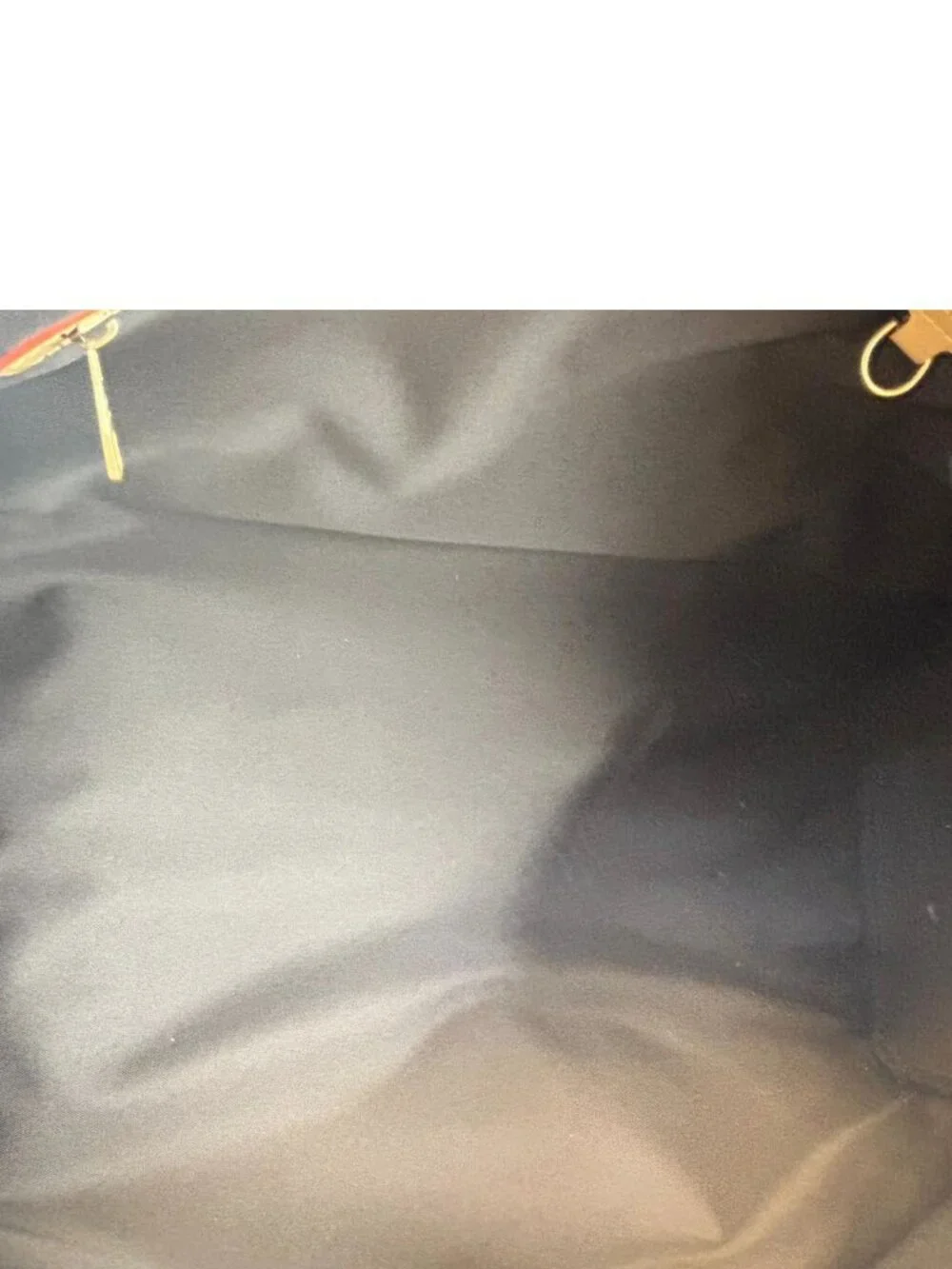 Louis Vuitton item details