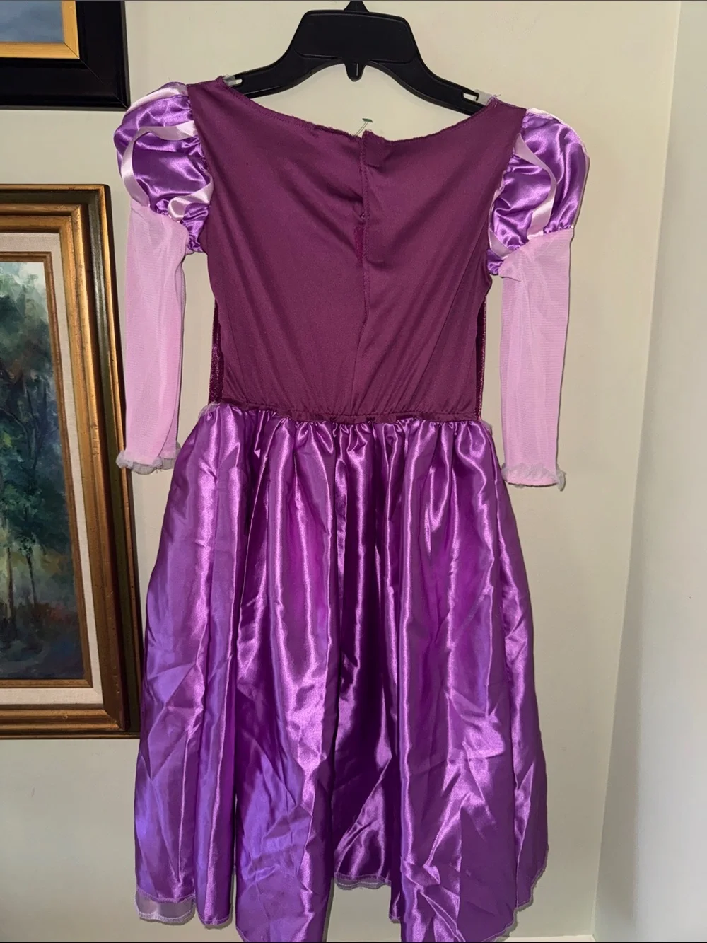 Disguise rapunzel day